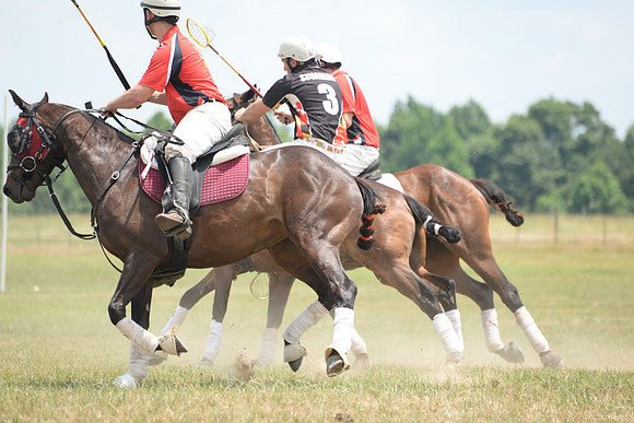 Polo Cross, Maryland