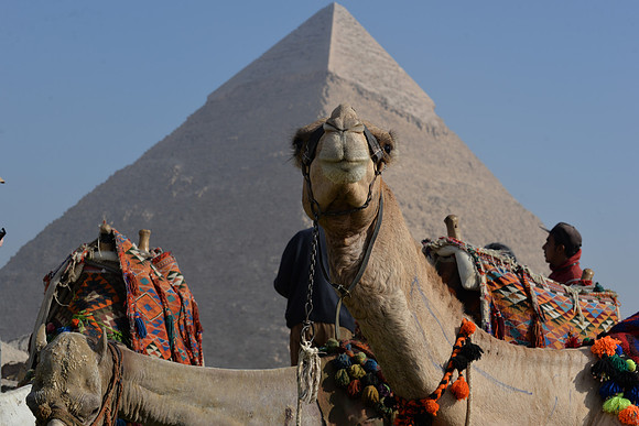 Pyramids of Giza, Cairo, Egypt
