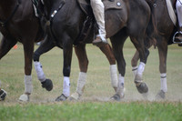 Polo Cross, Maryland