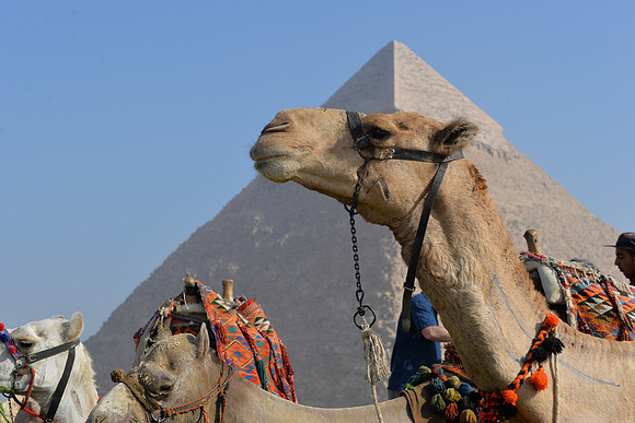 Pyramids of Giza, Cairo, Egypt
