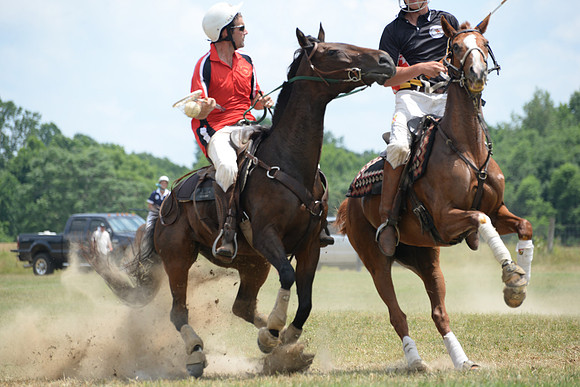 Polo Cross, Maryland