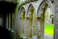 Bective Abbey, Meath, Ireland