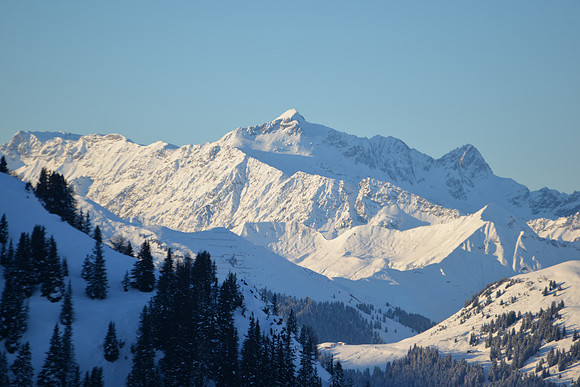 DSC_3664