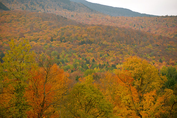 Vermont