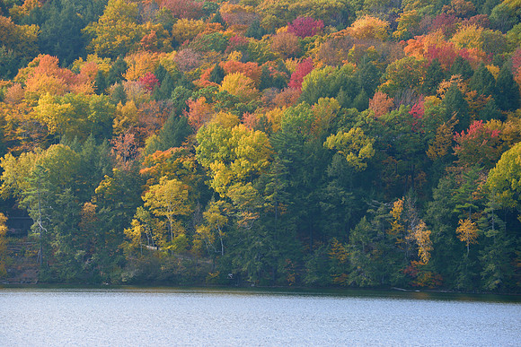 Vermont