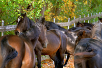 Vermont