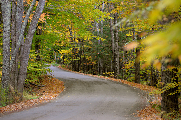 Vermont