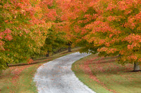 Vermont