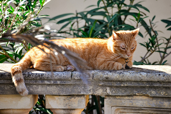 Mdina, Malta