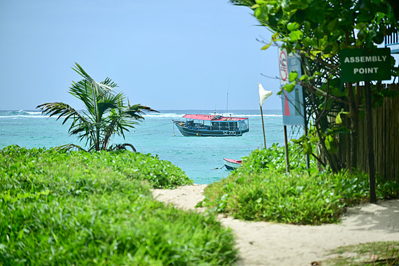 DSC_4718