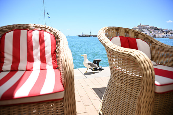Ibiza, Spain (Cappuccino's)