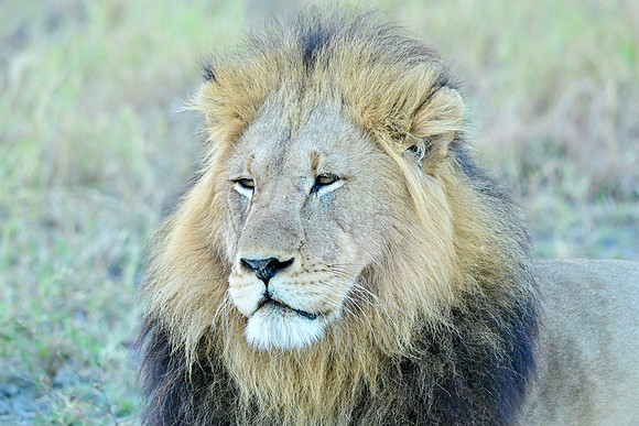 DSC_7996