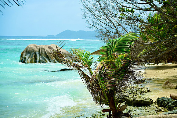 DSC_5377